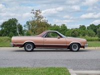 1982 Chevrolet El Camino for sale in Riverhead, New York (ID-124344)