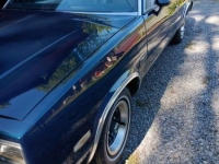 1982 Chevrolet El Camino for sale in Michigan (ID-126096)