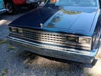 1982 Chevrolet El Camino for sale in Michigan (ID-126096)