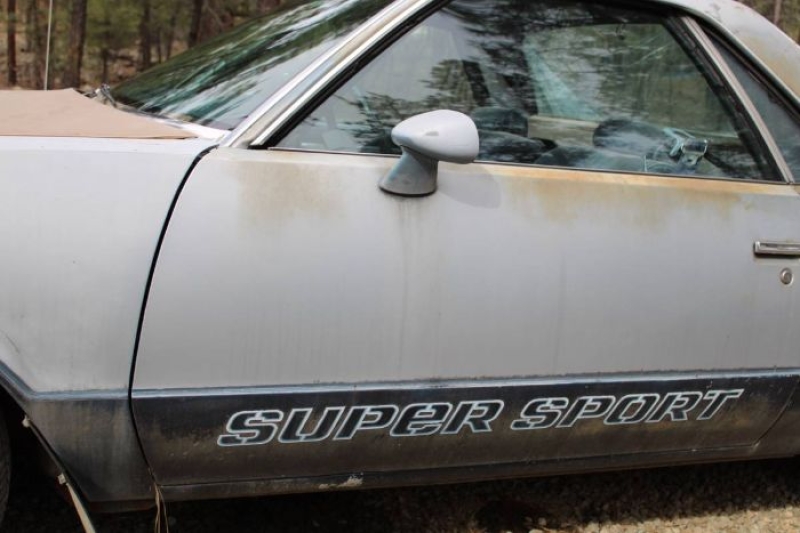 1982 Chevrolet El Camino for sale in Michigan (ID-146479)