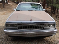 1982 Chevrolet El Camino for sale in Michigan (ID-146479)