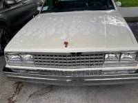 1982 Chevrolet El Camino for sale in Michigan (ID-161054)