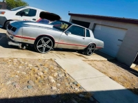 1982 Chevrolet Monte Carlo for sale in Michigan (ID-136754)