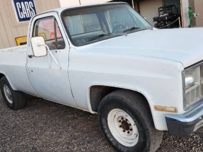 1982 Chevrolet Pickup for sale