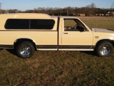 1982 Chevrolet S10 for sale