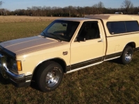 1982 Chevrolet S10 for sale in Michigan (ID-139520)