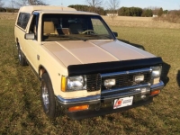 1982 Chevrolet S10 for sale in Michigan (ID-139520)