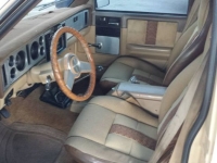 1982 Chevrolet S10 for sale in Michigan (ID-139520)