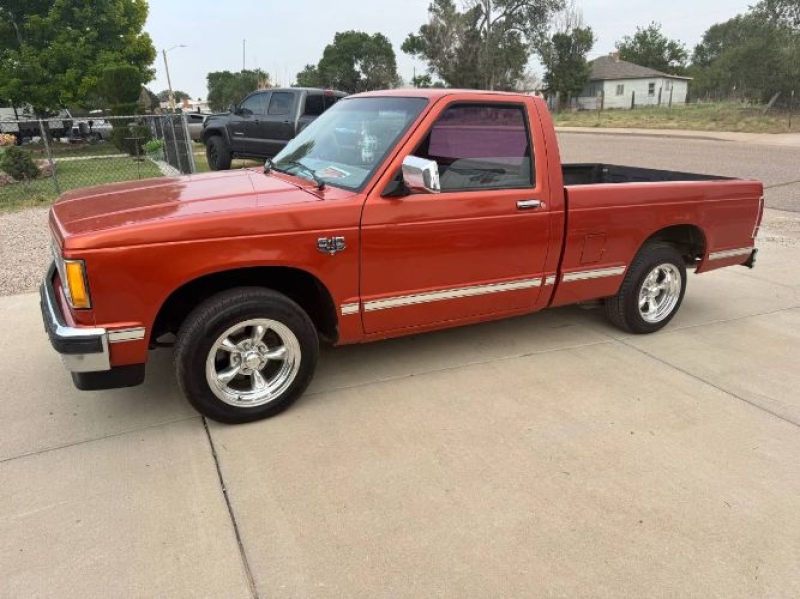 1982 Chevrolet S10 for sale in Michigan (ID-164612)