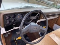 1982 Chevrolet Silverado for sale in Michigan (ID-98055)