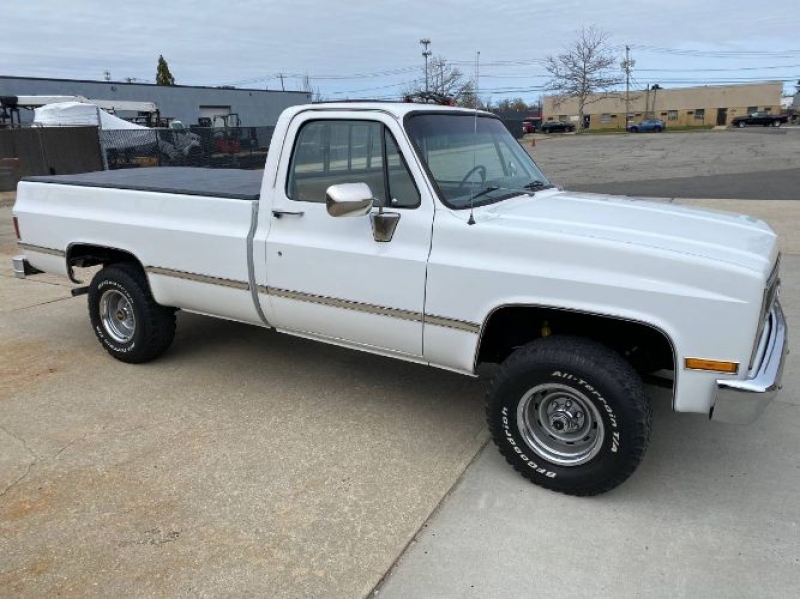 1982 Chevrolet Silverado for sale in Michigan (ID-101626)