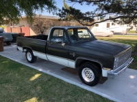 1982 Chevrolet Silverado for sale in Michigan (ID-117349)