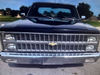 1982 Chevrolet Silverado for sale in Michigan (ID-123361)