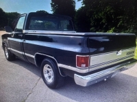 1982 Chevrolet Silverado for sale in Michigan (ID-123361)