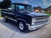 1982 Chevrolet Silverado for sale in Michigan (ID-123361)