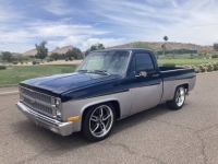 1982 Chevrolet Silverado for sale in Michigan (ID-142425)