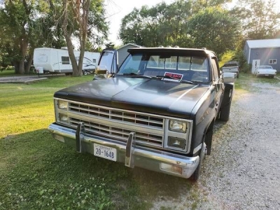 1982 Chevrolet Silverado for sale