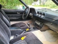1982 Datsun 280ZX for sale in Michigan (ID-120381)