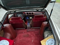 1982 Datsun 280ZX for sale in Michigan (ID-130459)