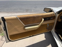 1982 Dodge Charger for sale in Michigan (ID-142135)