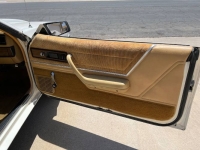 1982 Dodge Charger for sale in Michigan (ID-142135)