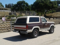 1982 Ford Bronco for sale in Michigan (ID-123792)