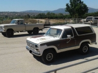 1982 Ford Bronco for sale in Michigan (ID-123792)