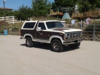 1982 Ford Bronco for sale in Michigan (ID-123792)