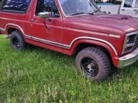 1982 Ford Bronco for sale in Michigan (ID-140240)