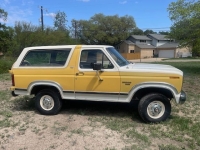 1982 Ford Bronco for sale in Michigan (ID-141432)