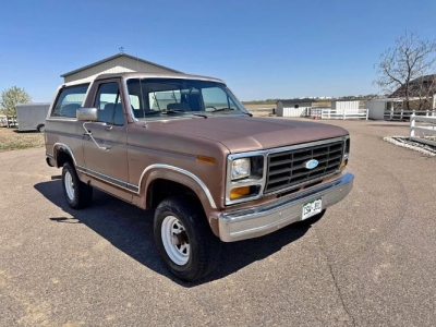 1982 Ford Bronco for sale in Michigan