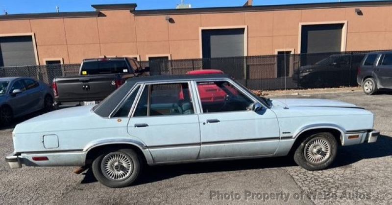 1982 Ford Fairmont for sale in Riverhead, New York (ID-141921)