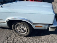 1982 Ford Fairmont for sale in Riverhead, New York (ID-141921)