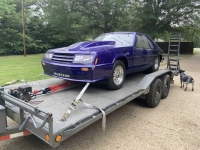 1982 Ford Mustang for sale in Michigan (ID-138333)
