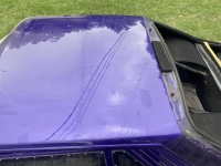 1982 Ford Mustang for sale in Michigan (ID-138333)