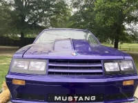 1982 Ford Mustang for sale in Michigan (ID-138333)