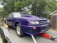 1982 Ford Mustang for sale in Michigan (ID-138333)
