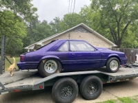 1982 Ford Mustang for sale in Michigan (ID-138333)