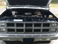 1982 GMC C10 for sale in Michigan (ID-135661)