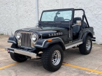 1982 Jeep CJ5 for sale in Michigan (ID-116774)
