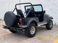 1982 Jeep CJ5 for sale in Michigan (ID-116774)