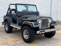 1982 Jeep CJ5 for sale in Michigan (ID-116774)