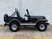 1982 Jeep CJ5 for sale in Michigan (ID-116774)