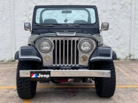 1982 Jeep CJ5 for sale in Michigan (ID-116774)
