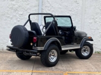 1982 Jeep CJ5 for sale in Michigan (ID-116774)