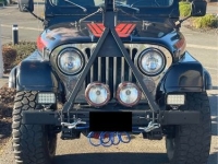 1982 Jeep CJ5 for sale in Michigan (ID-137518)