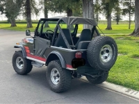 1982 Jeep CJ5 for sale in Michigan (ID-137518)