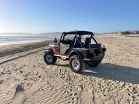 1982 Jeep CJ5 for sale in Michigan (ID-137518)