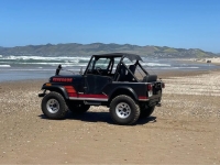 1982 Jeep CJ5 for sale in Michigan (ID-137518)
