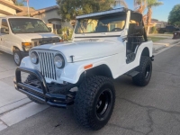 1982 Jeep CJ7 for sale in Michigan (ID-119585)